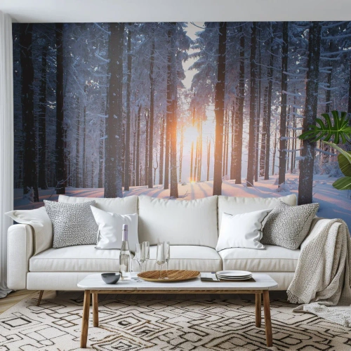 Fototapeta Samolepicí Deluxe Sticker - Jasně černé na bílém - Krajina, Les, Sníh - 400x280 cm