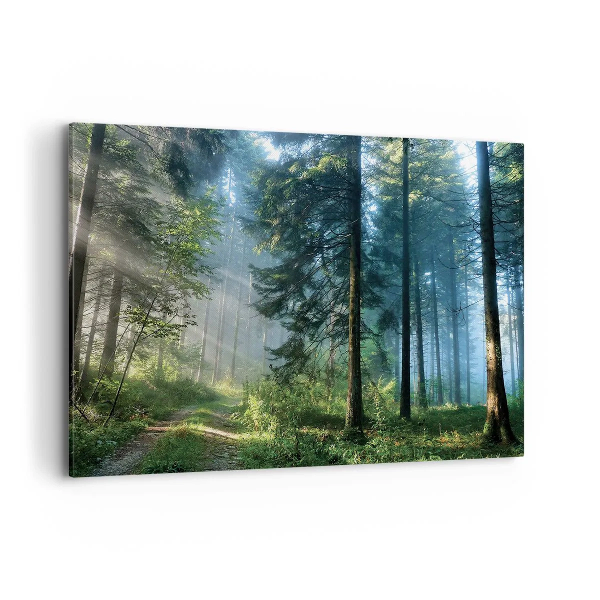 Obraz na plátně - Zářící za úsvitu - 100x70 cm