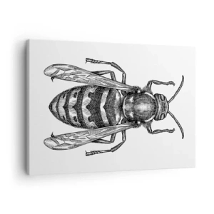 Obraz na plátně - Kreslený motiv vosy na bílém pozadí v minimalistickém stylu. - 70x50cm - Z hmyzí planety - Moderní nástěnná dekorace do obývacího pokoje a ložnice ARTTOR