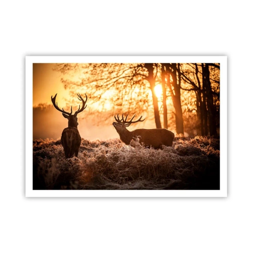 Plakát - Sen myslivce - 100x70 cm