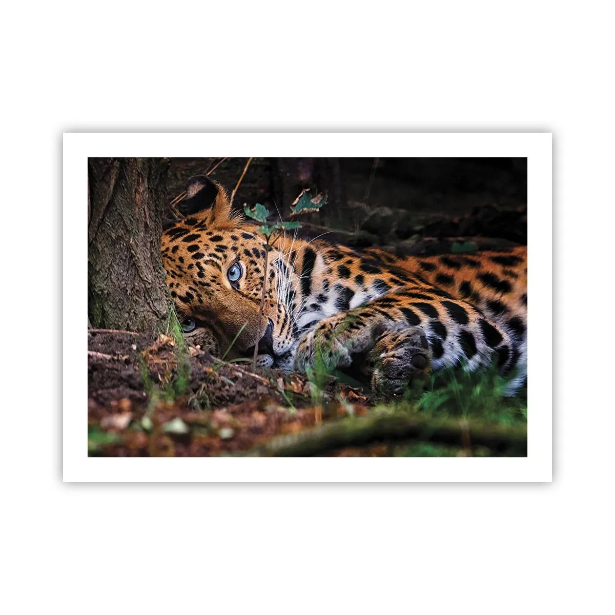 Plakát - Věř mi - 70x50 cm