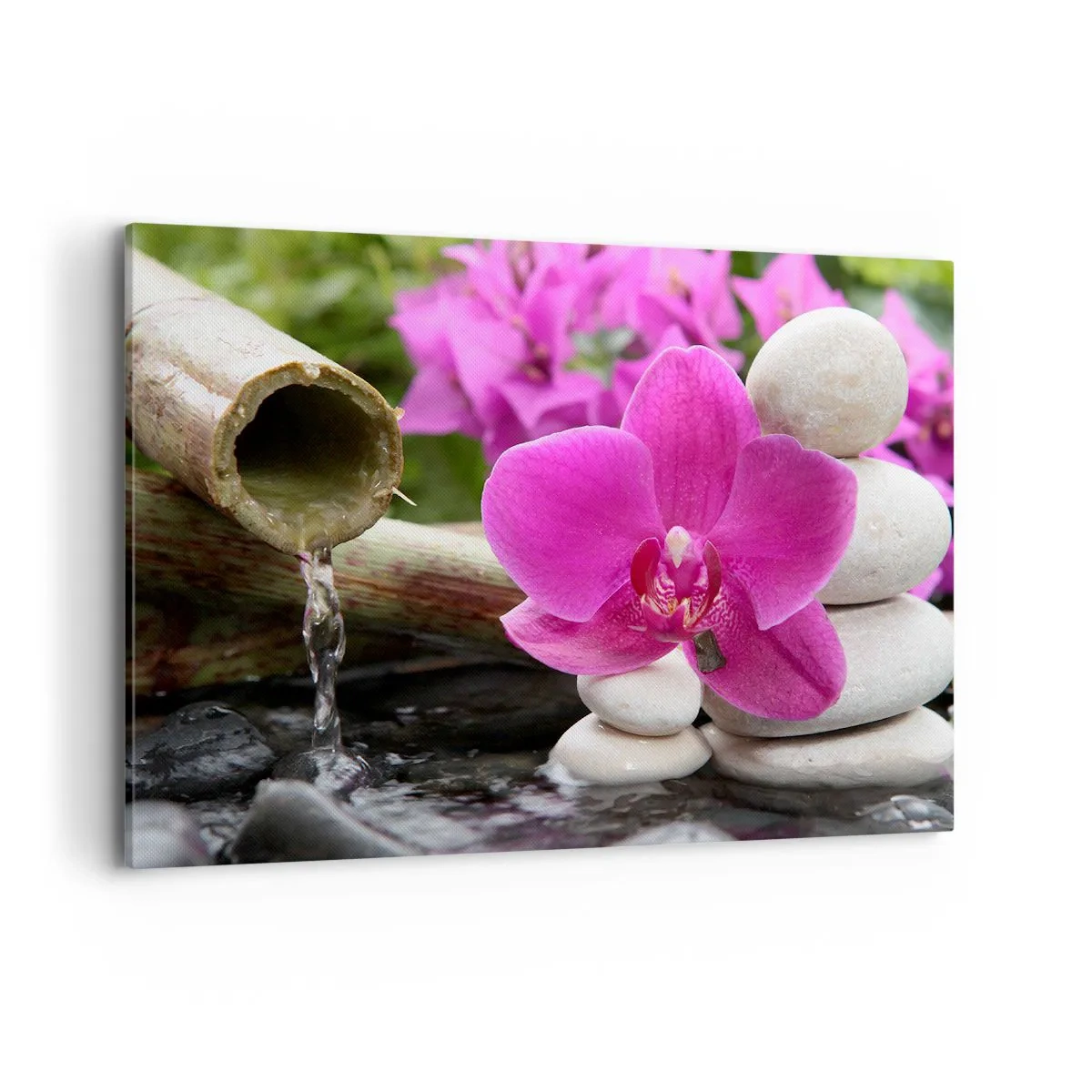 Obraz na plátně - Už odpočíváš - 100x70 cm