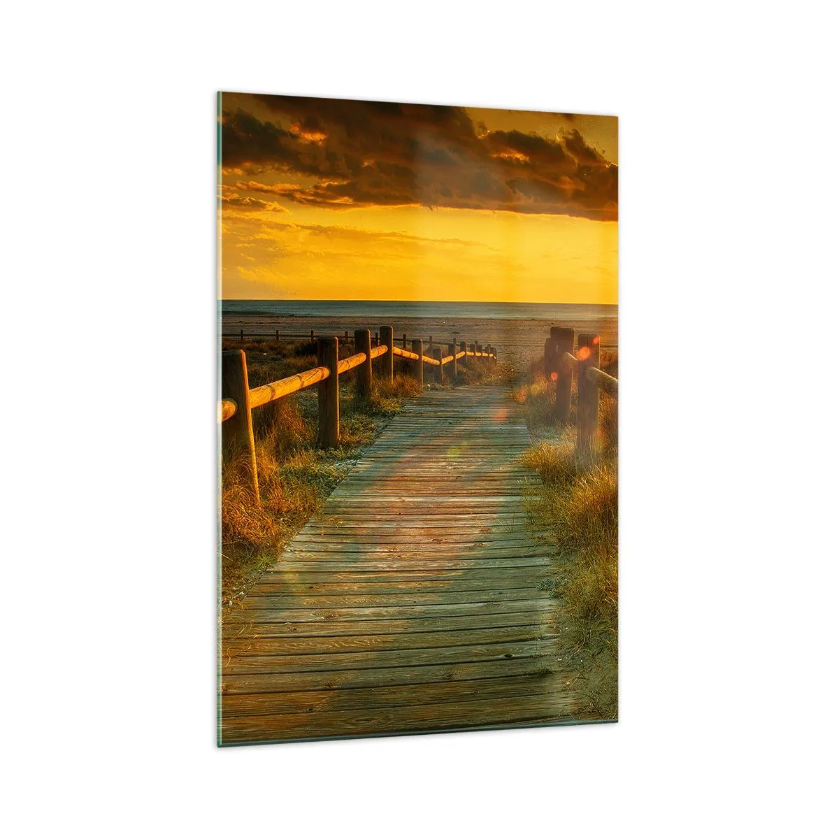 Obraz na skle - Vykoupané ve starém zlatě - 70x100 cm