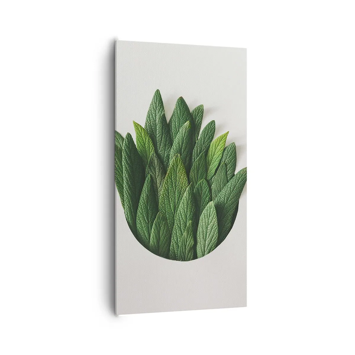 Obraz na plátně - Neukojitelná zvědavost - 65x120 cm