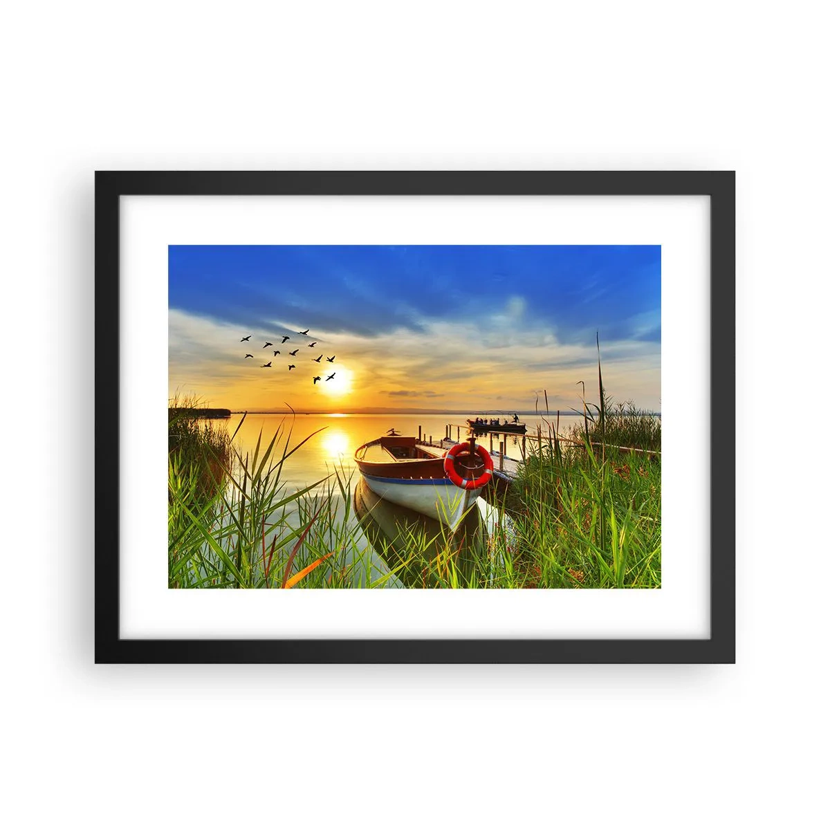 Plakát v černém rámu - Kormoráni už odlétají - 40x30 cm