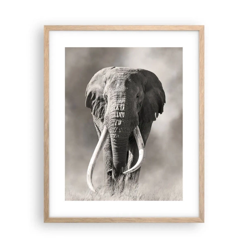 Plakát v rámu světlý dub - Africký patriarcha - 40x50 cm