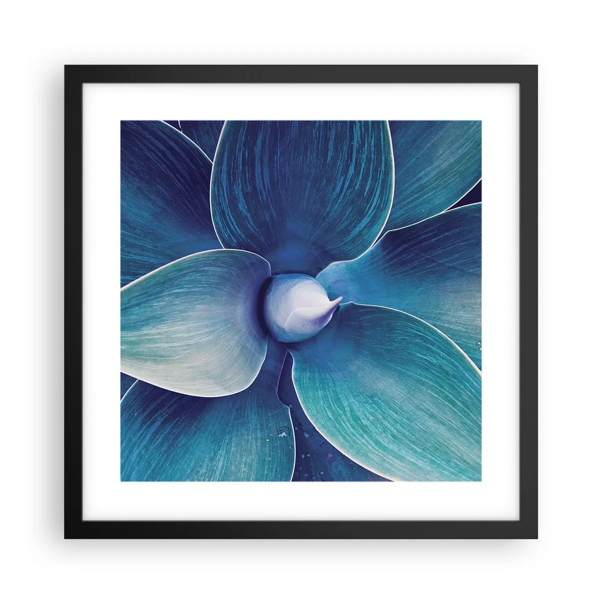 Plakát v černém rámu - Namodralý od nebe - 40x40 cm