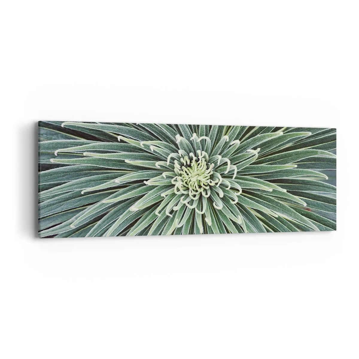 Obraz na plátně - Zrození hvězdy - 90x30 cm