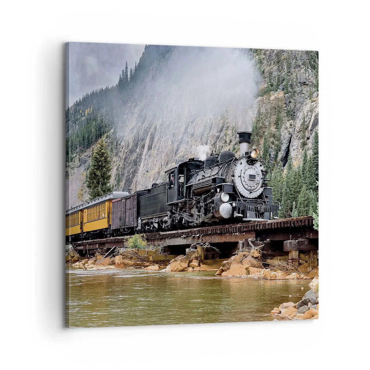 Obraz na plátně - Kampak? Kam? - 60x60 cm