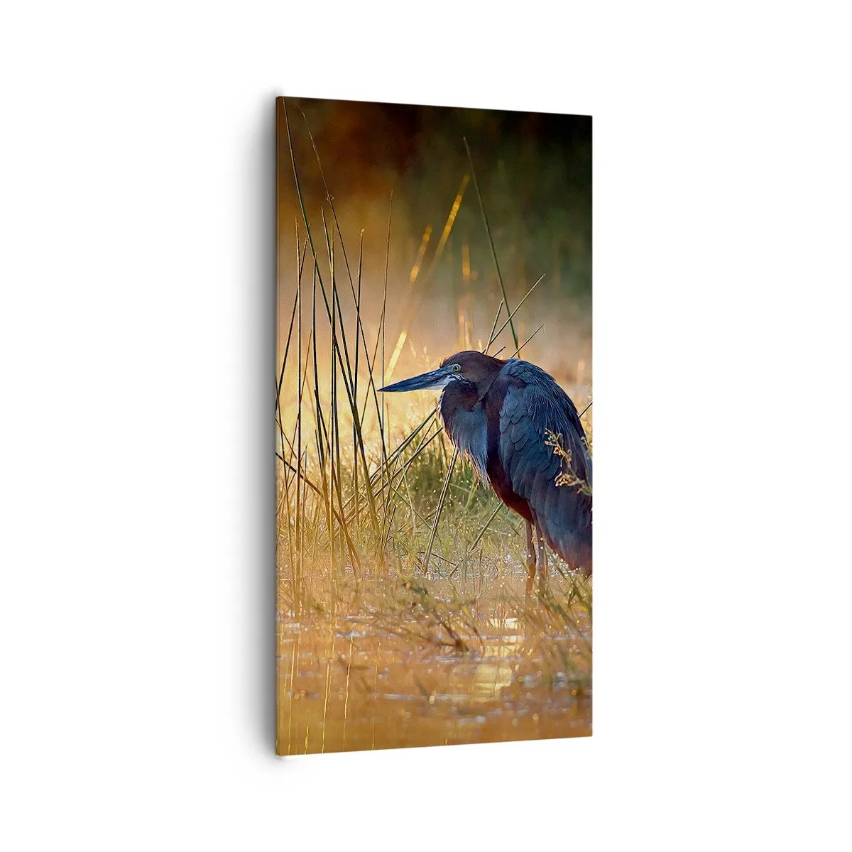 Obraz na plátně - Ušetřete mě těch fotek - 65x120 cm