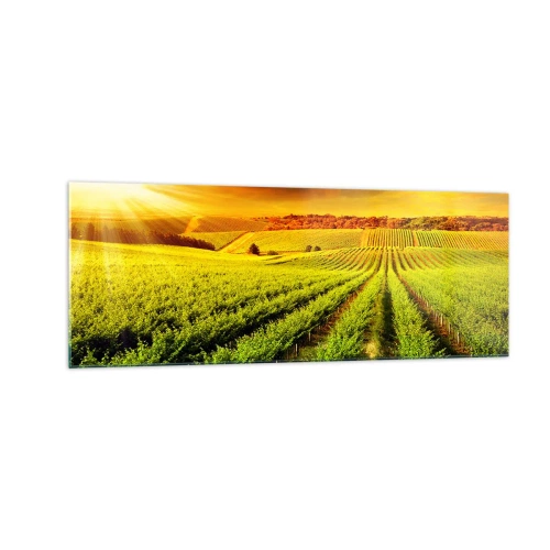 Obraz na skle - Pod australským sluncem - 140x50 cm