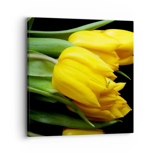 Obraz na plátně - Vznikly z čistého slunce - 30x30 cm