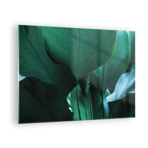 Obraz na skle - Tropické listy v intenzivních odstínech zelené - 70x50cm - Obrácené ke světlu - Moderní nástěnná dekorace do obývacího pokoje a ložnice ARTTOR