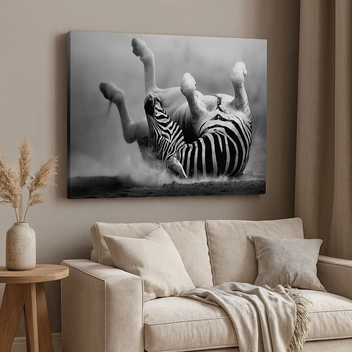 Obraz na plátně - Černá a bílá zebra se válí v písku - 70x50cm - Je to k popukání - Moderní nástěnná dekorace do obývacího pokoje a ložnice ARTTOR