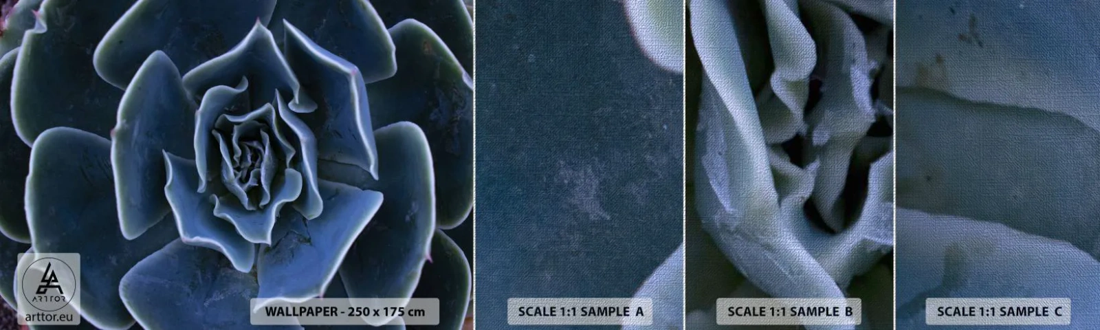 Vzor Fototapety Premium Canvas - Pouštní květ - Květ agáve, Květ, Příroda - 100x30 cm