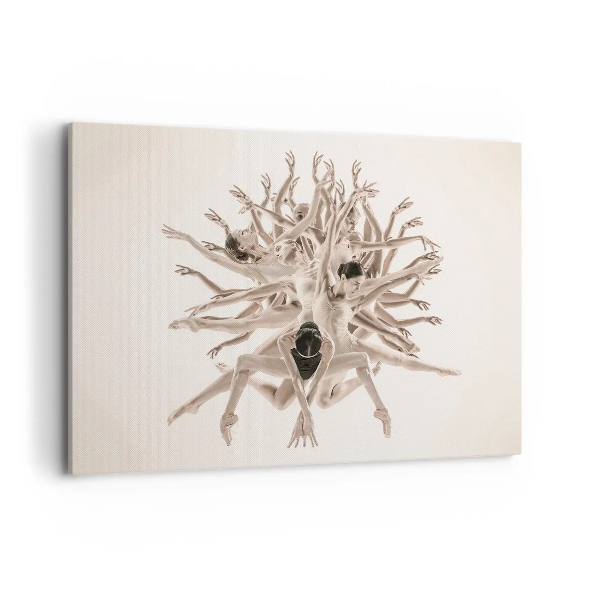 Obraz na plátně - Rozkvět v tanci - 100x70 cm