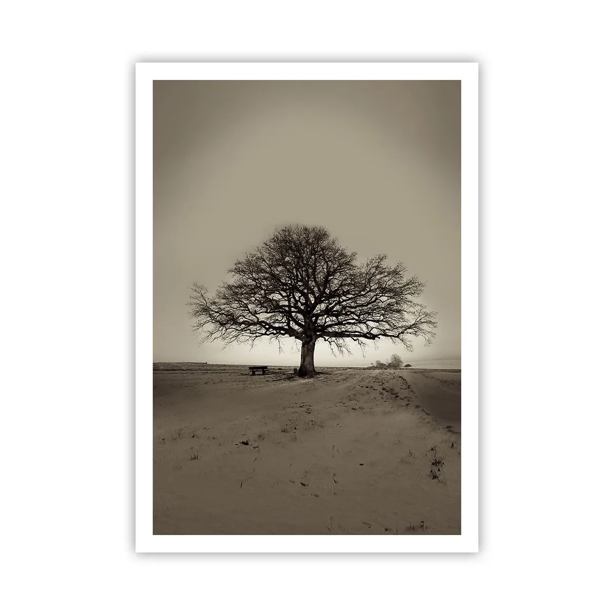 Plakát - Odtud až na věčnost - 70x100 cm