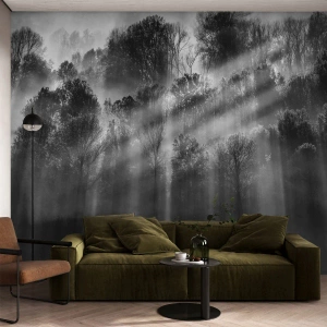 Fototapeta Samolepicí Deluxe Sticker - V paprscích světla - Krajina, Les, Černý a bílý - 350x256 cm