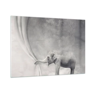 Obraz na skle - Odhalit tajemství - 100x70 cm