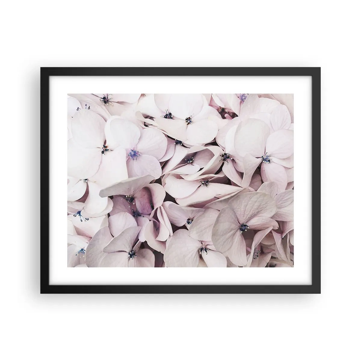 Plakát v černém rámu - V záplavě květin - 50x40 cm