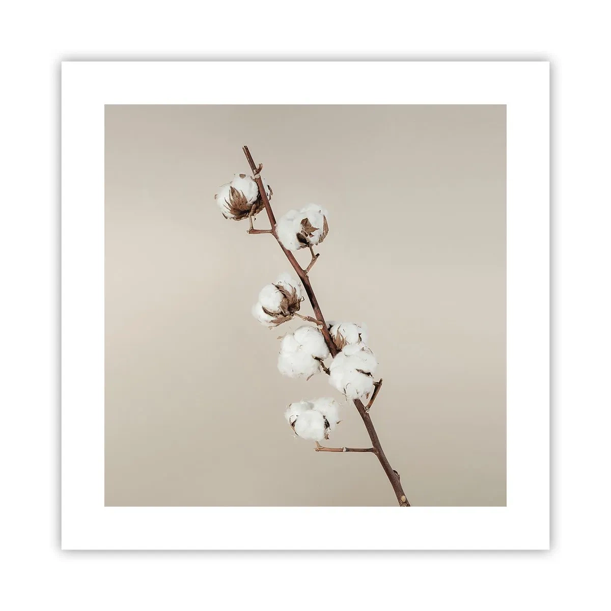 Plakát - U zdroje měkkosti - 40x40 cm