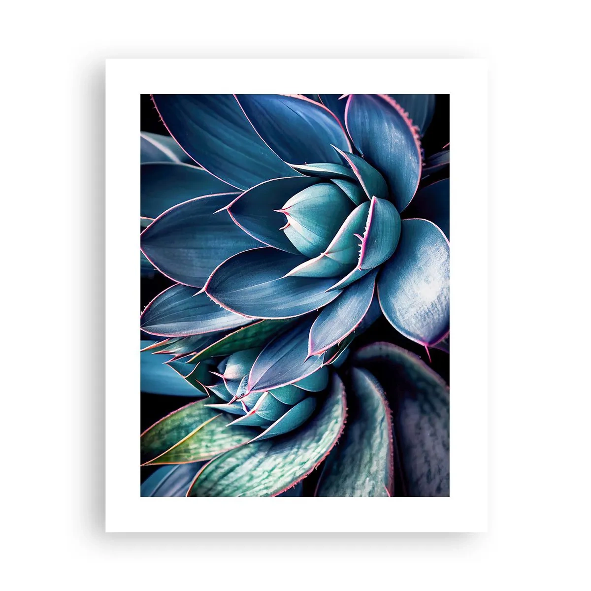 Plakát - Vitální síla - 40x50 cm