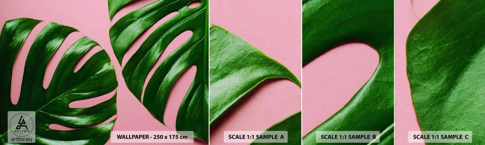 Vzor Fototapety Samolepicí Deluxe Sticker - Zelené rendez-vous - Monstera, Zelený list, Exotická rostlina - 100x30 cm