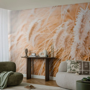 Fototapeta Premium Sand - Zlaté šustění travin - Pampasová tráva, Louka, Příroda - 100x70 cm