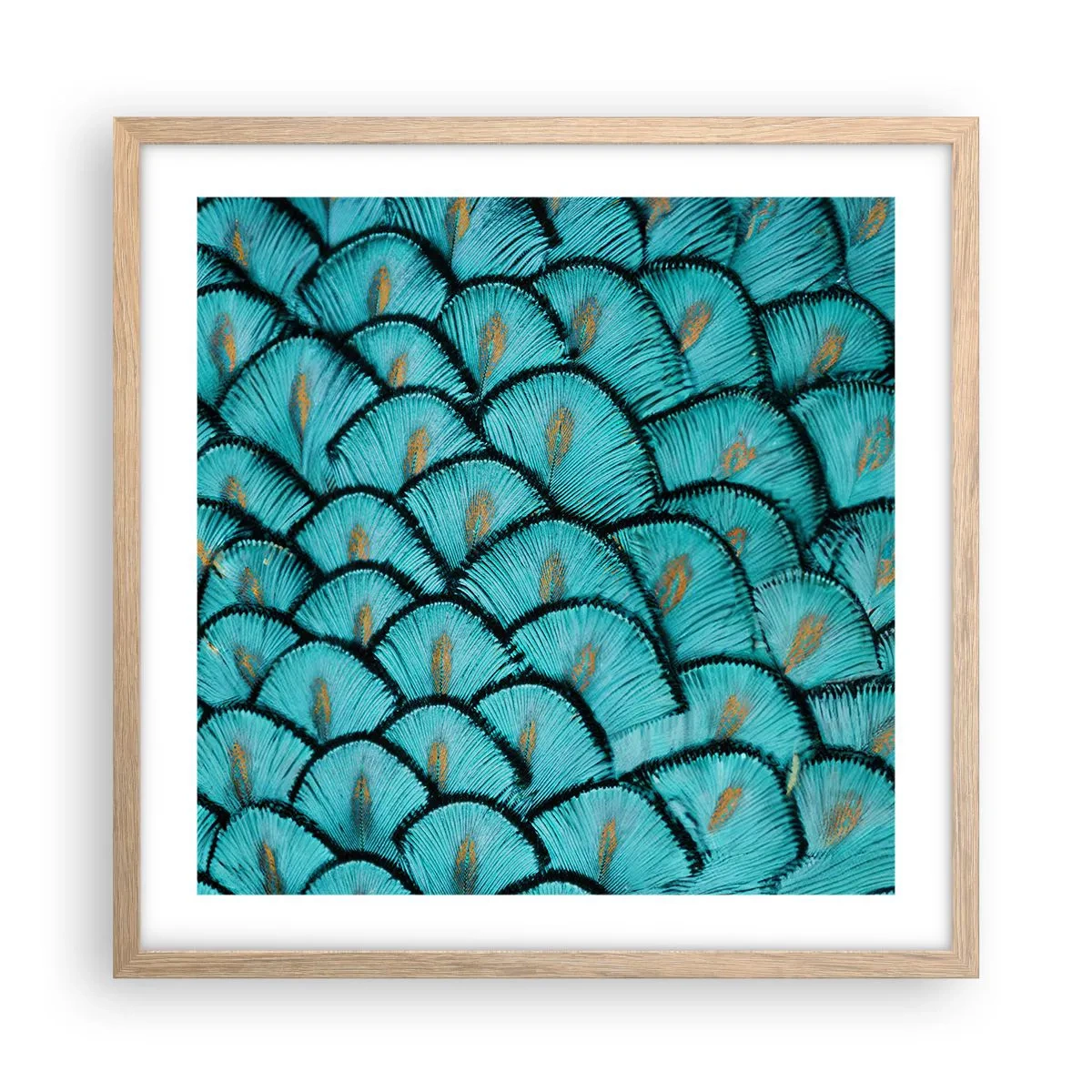 Plakát v rámu světlý dub - Velká slavnost peří - 50x50 cm