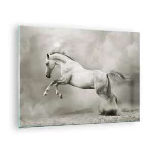 Obraz na skle - Bílý kůň skáče proti mrakům - 70x50cm - Mezi bděním a snem - Moderní nástěnná dekorace do obývacího pokoje a ložnice ARTTOR
