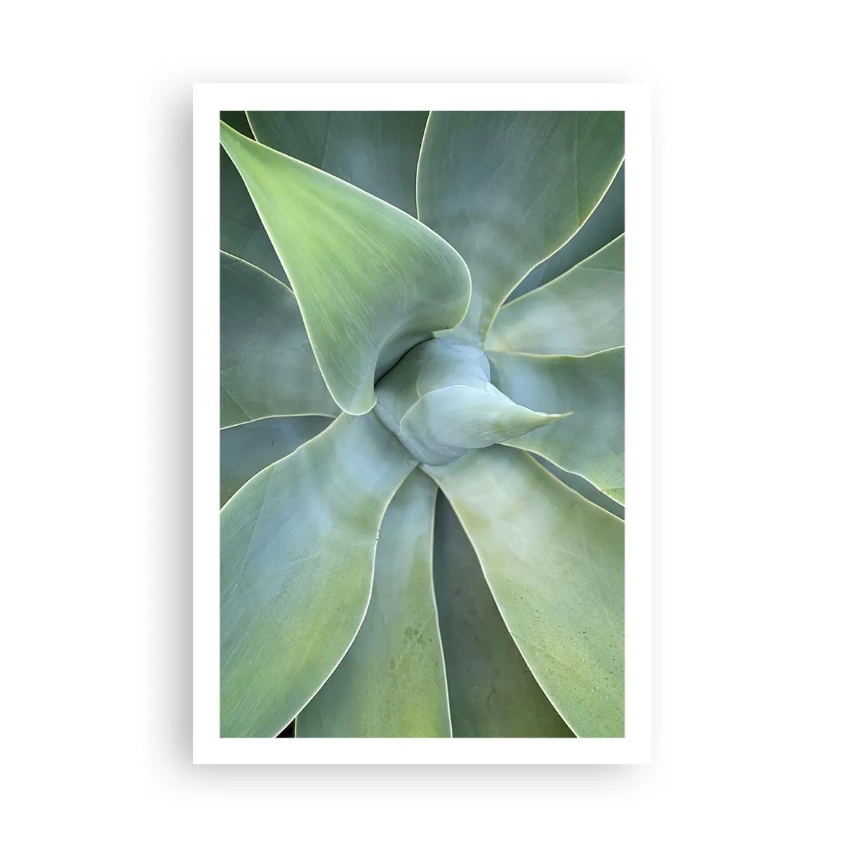 Plakát - Zrození zeleně - 61x91 cm