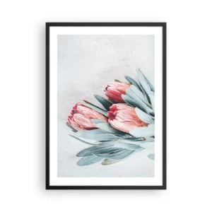 Plakát v černém rámu - Jemná kompozice květů protey na světlém pozadí - 50x70cm - Zahanbené svou vlastní krásou - Moderní nástěnná dekorace do obývacího pokoje a ložnice ARTTOR