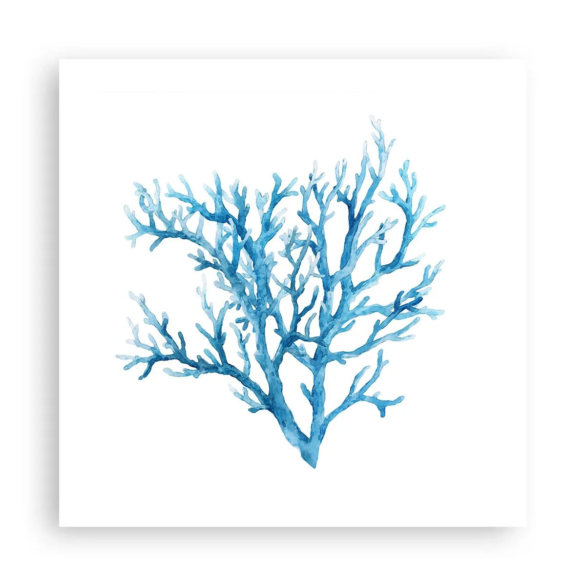 Plakát - Mořský filigrán - 50x50 cm