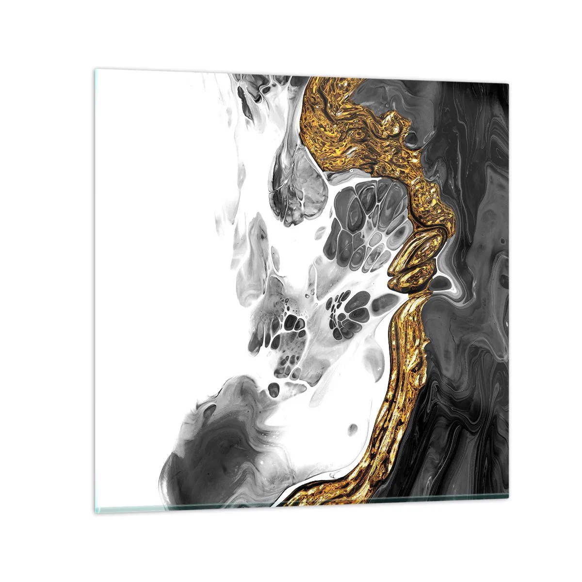 Obraz na skle - Organická kompozice - 70x70 cm