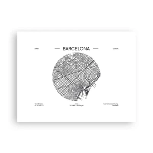 Plakát - Anatomie Barcelony - 40x30 cm