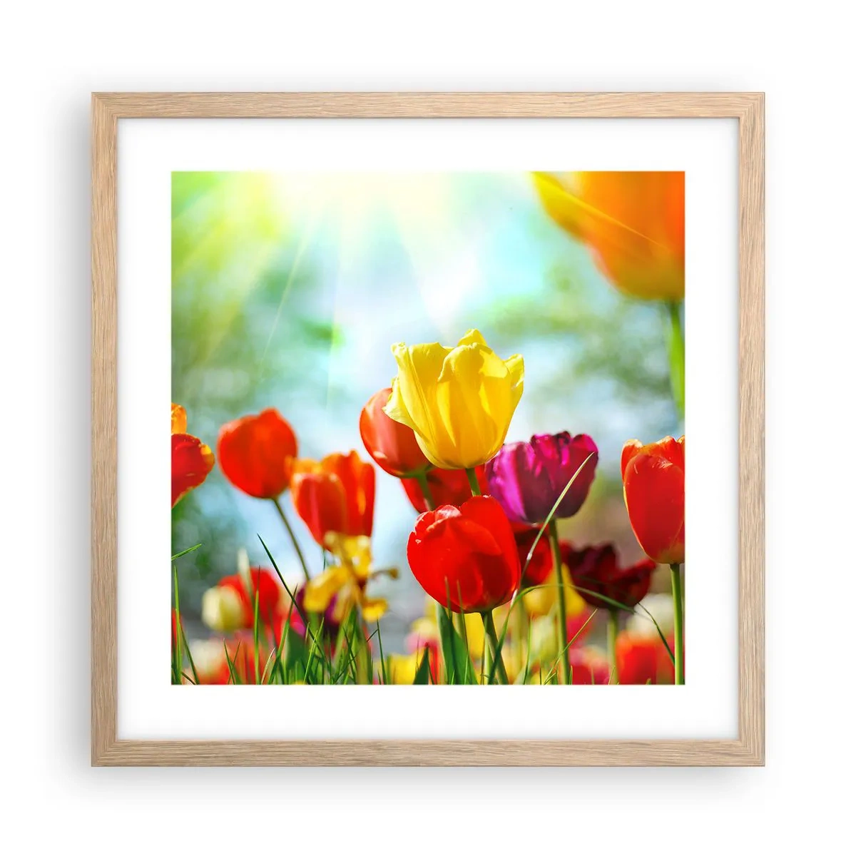 Plakát v rámu světlý dub - Všechny barvy slunce - 40x40 cm