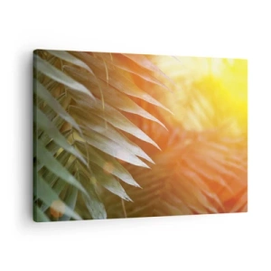 Obraz na plátně - Palmové listy v paprscích západu slunce - 70x50cm - Ráno v džungli - Moderní nástěnná dekorace do obývacího pokoje a ložnice ARTTOR