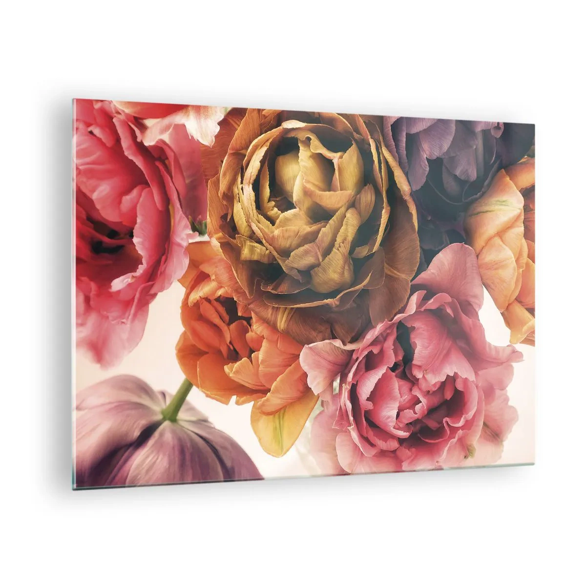 Obraz na skle - Detailní záběr na kytici vícebarevných květin - 70x50cm - Oslava života - Moderní nástěnná dekorace do obývacího pokoje a ložnice ARTTOR