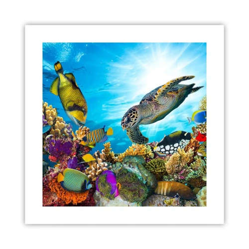 Plakát - Korálová promenáda - 40x40 cm