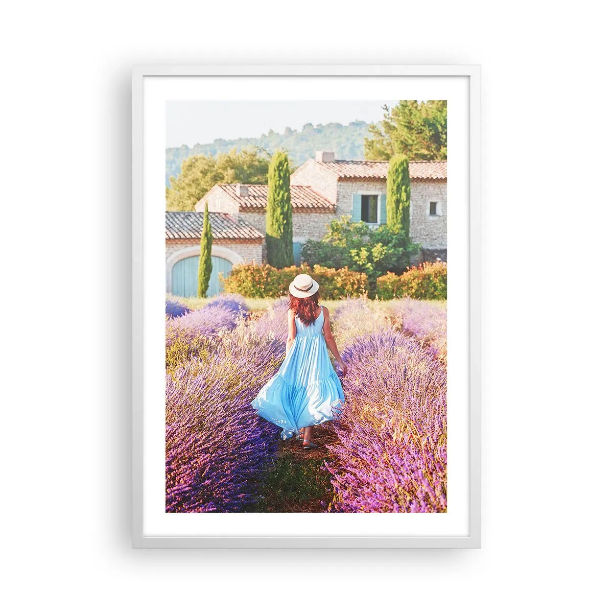 Plakát v bílém rámu - Levandulová dívka - 50x70 cm