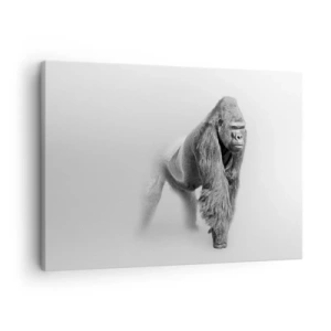 Obraz na plátně - Gorila v monochromatických tónech na bílém pozadí - 70x50cm - Jistý si svojí silou - Moderní nástěnná dekorace do obývacího pokoje a ložnice ARTTOR