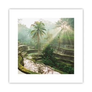 Plakát - Vyrůstát na slunci - 30x30 cm