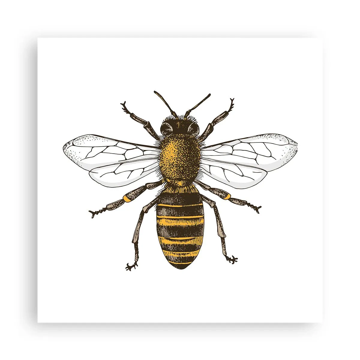 Plakát - Krásná a dobrá - 40x40 cm