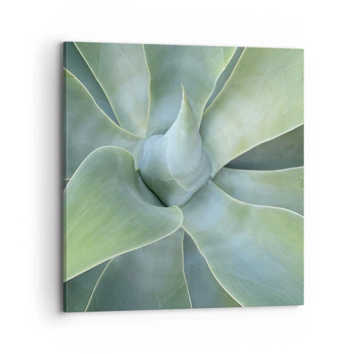 Obraz na plátně - Zrození zeleně - 70x70 cm