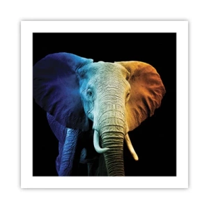 Plakát - Výstřední muž, ale ne podivín - 50x50 cm