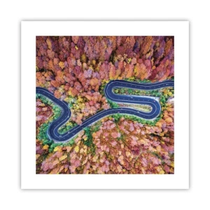 Plakát - Klikatá cesta lesem - 40x40 cm