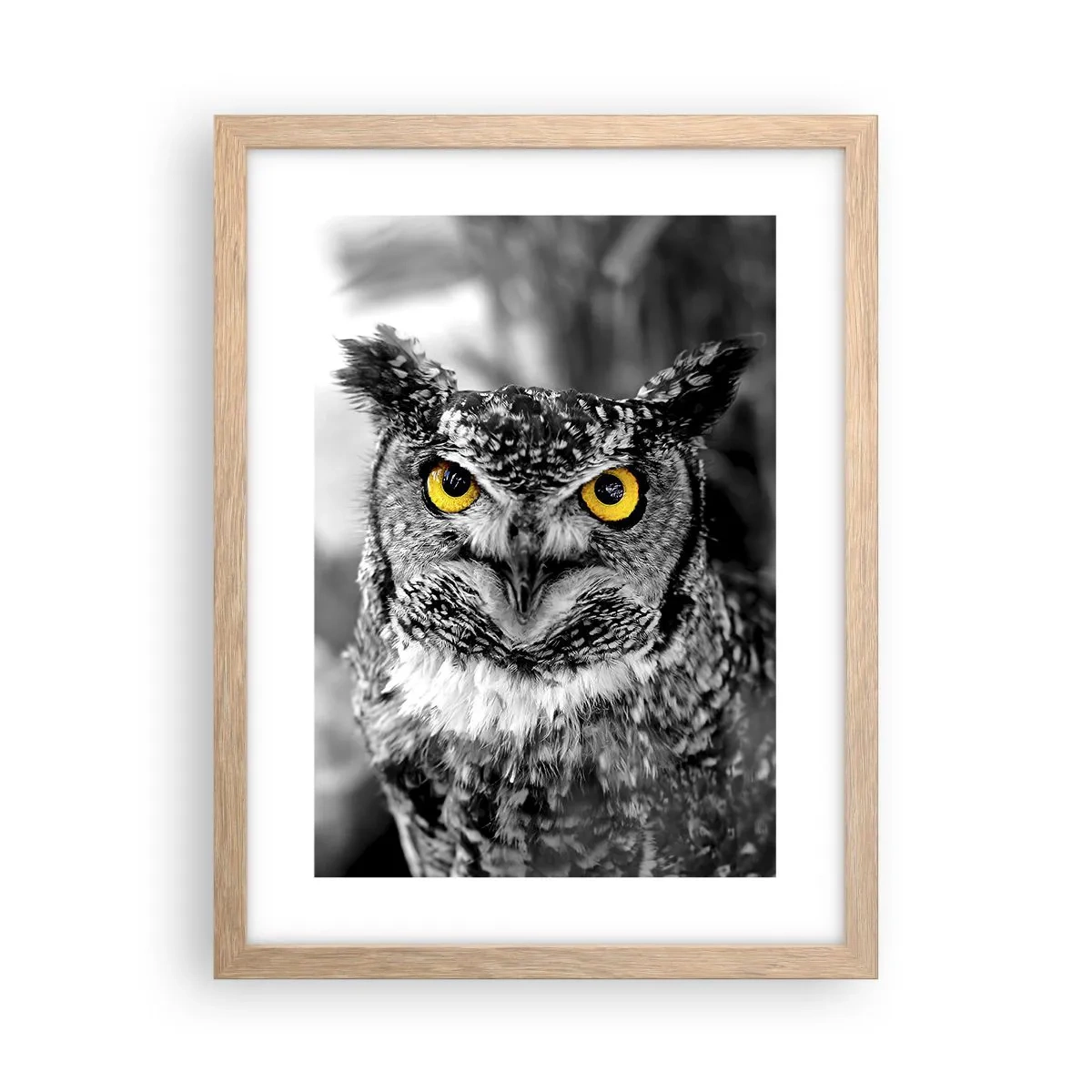 Plakát v rámu světlý dub - Nic se neschová - 30x40 cm