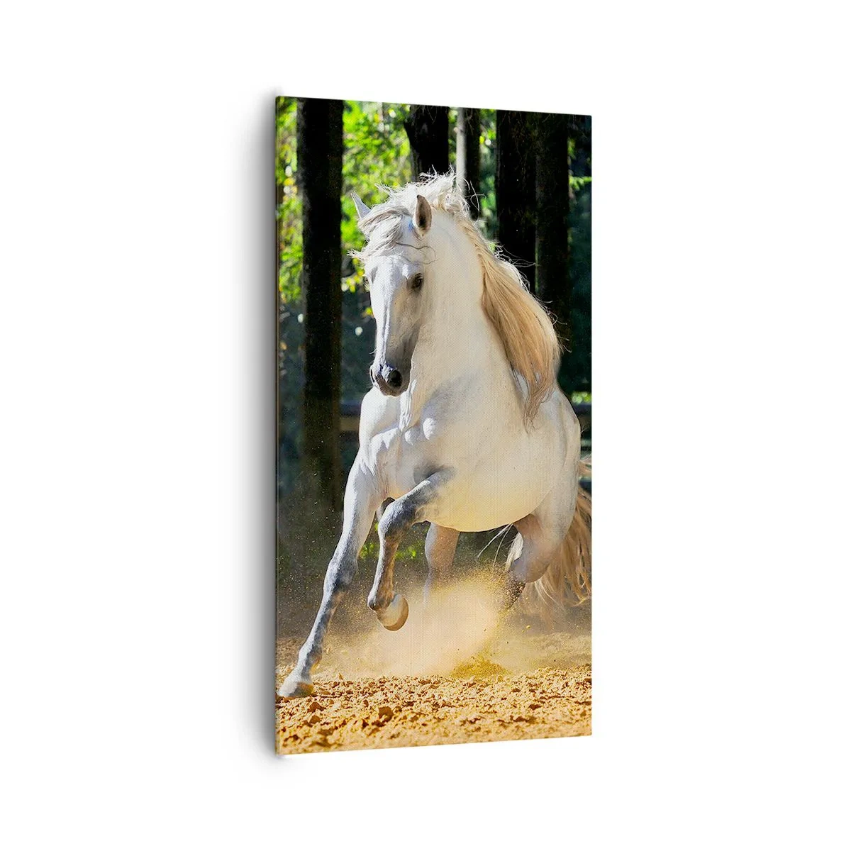 Obraz na plátně - Jako z fantasy románu - 65x120 cm