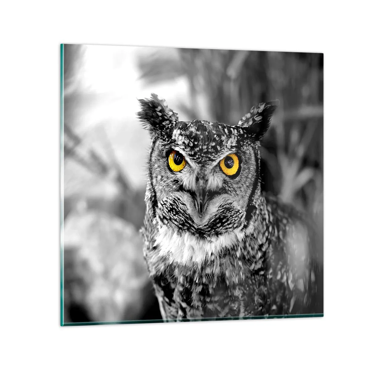 Obraz na skle - Nic se neschová - 40x40 cm