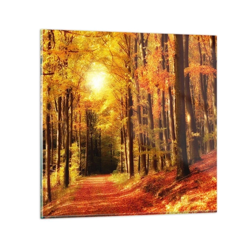 Obraz na skle - Zlatý podzim na lesní cestě - 60x60 cm